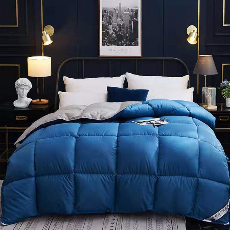 Winter Goose Down Duvet Core