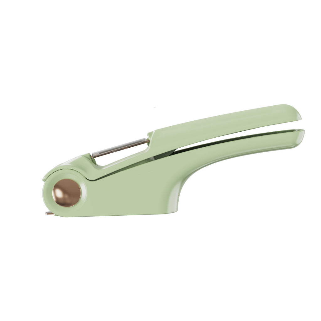 Manual Stainless Steel Garlic Press